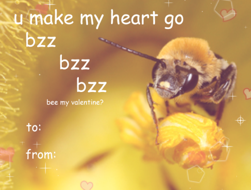 sushidragon:here are some bee valentine cards, bc i was tired of just seeing only “Bee Mine”