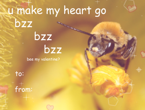 sushidragon: here are some bee valentine cards, bc i was tired of just seeing only “Bee M