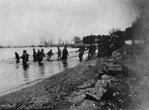 Photograph, 1910, Thomas Eakins