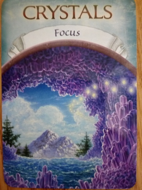 patchouli-fox: Daily reading. Does this apply to you? #reading #orical #witch #empath #magick #hedge