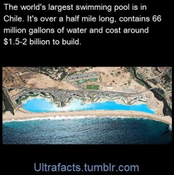 ultrafacts:  Source    Follow Ultrafacts for more facts    