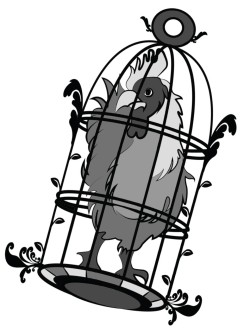 lockeduphusband:  Just the Cock in the Cage… :) Hope you like it! 