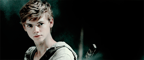 crazymarvelgirl:  bbymeowt:  crazymarvelgirl:Newt + being an absolute cutie  i love
