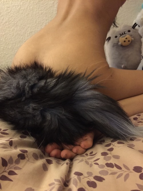 escafrisky:  my favorite tail ; w; 