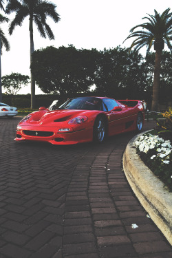 mistergoodlife:  Ferrari F50 • Mr. Goodlife