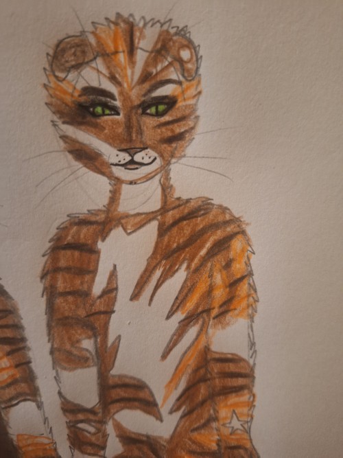 Coricopat And Tantimile
