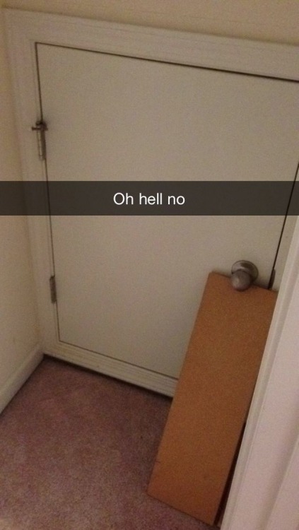 chrissymodi-frost:notwosnowflakesarealike:johamesthenifty:The rental house had a small door in one o