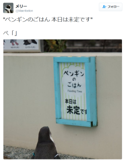 highlandvalley:  メリーさんはTwitterを使っています: “&quot;ペンギンのごはん 本日は未定です” ぺ「」 https://t.co/OXIflgeNOQ&quot; 