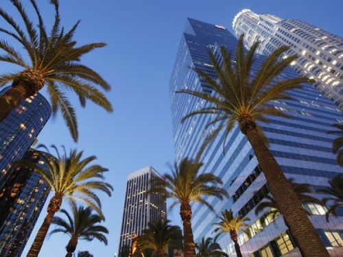 Downtown LA Palms and US Bank tower. Los Angeles, CA