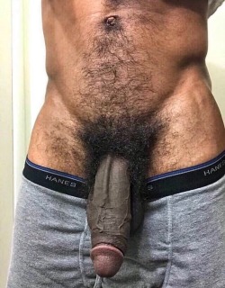 tedoymiculo:  Beautiful big dick,  I love it 😜