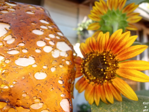 errl-y-girl:  emmmaryjane:  errl-y-girl:  ☀︎ Errl & Sunflowers ☀︎  errl-y-girl your shit is always on point tho 💯   thank you so much, what a sweet thing to say!!!☺️☺️☺️💕