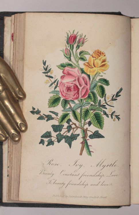 michaelmoonsbookshop: Lovely bright hand coloured plates in The Language of Flowers printed in 1834 