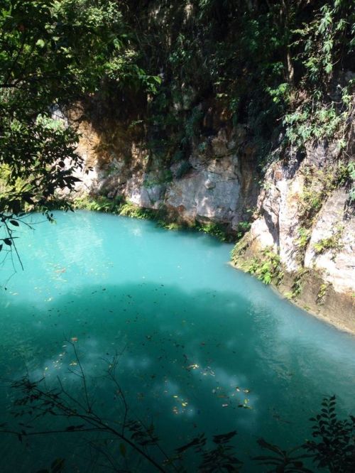 puhcific:  mangomamita:  the deeper you go the bluer the water gets  Ughh 