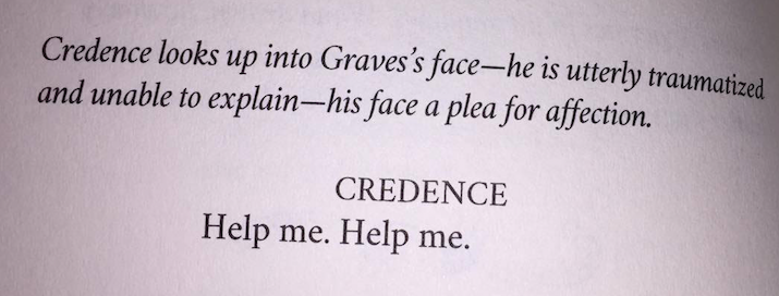 I bought the screenplay of Fantastic Beasts just so I could read more about Credence