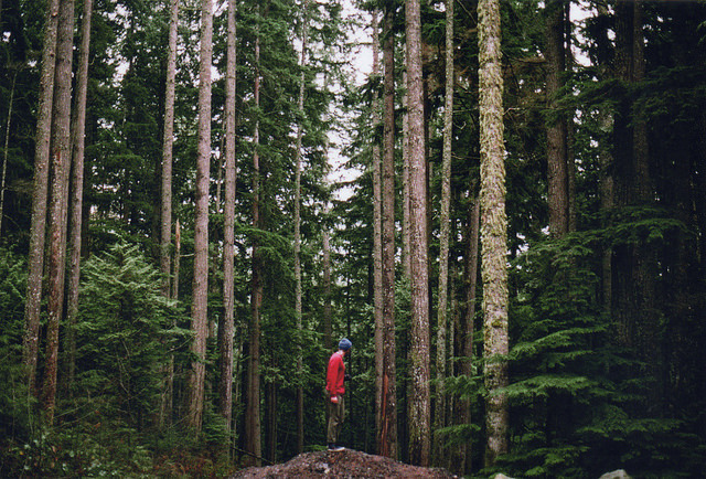 landskype:  Scan 13 by ben giesbrecht on Flickr. 
