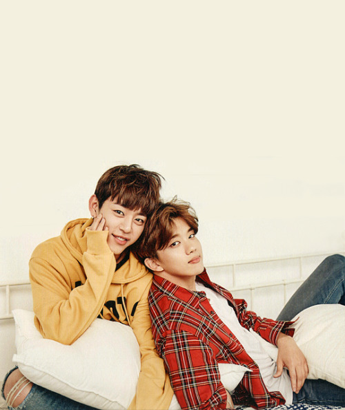 zainbap: daejae for seasons greetings 2017 (cr)