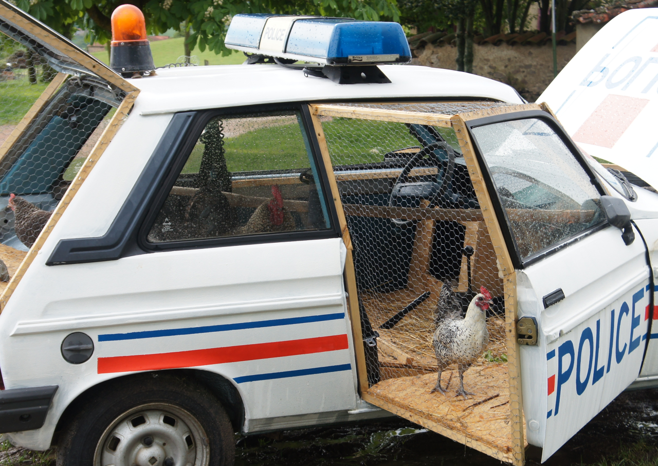 elodieunderglass: thornhands:  kookychicken:  blurrydawgo:   absolxguardian:  general-george-washington: