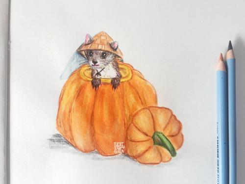 threebirdsart:A sketch of Xie Lian as a ferret in a pumpkin, following an idea from @raine-kai.  He 