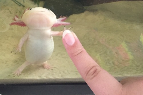 Tiny Hands?
