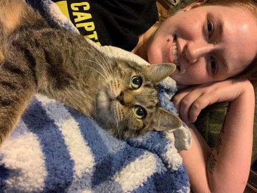 Mokona was happy to see me when I got home today#tabby #tabbiesofinstagram #cat #cats #catsofinsta