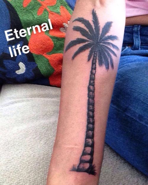 Egyptians consider the palm a tree of life #symbolism #symbolic #egyptian #tattoo #palmtree #eternal