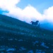 elioli-art: