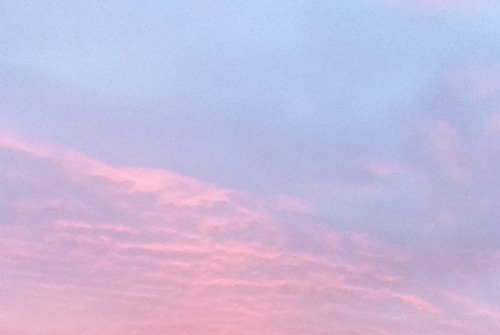 cutiepaws:pretty sky from the other day ♡