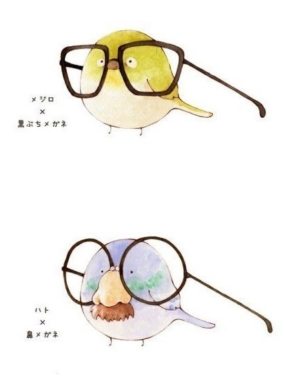 rawringyeti:  mayahan:  Birds with Glasses  littlebirdmage