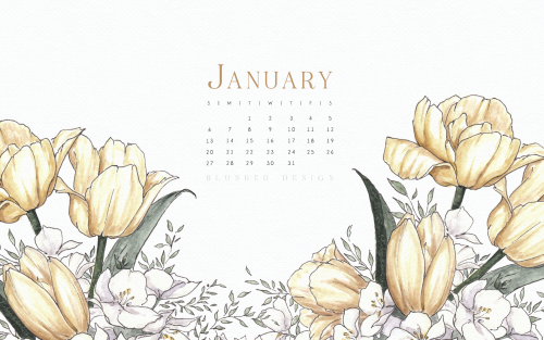January is wrapping up, so I should probably wrap up posting my January wallpapers I have on file. A