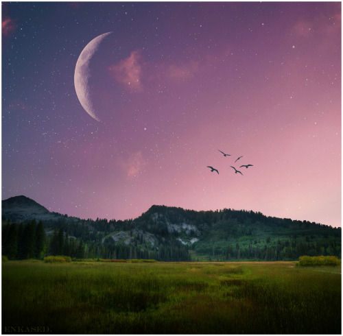 Dreamscape.  From the Composite Project, this is a combination of images, one of which I shot in the