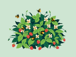 spitsplash: strawberries and bees and sunshine