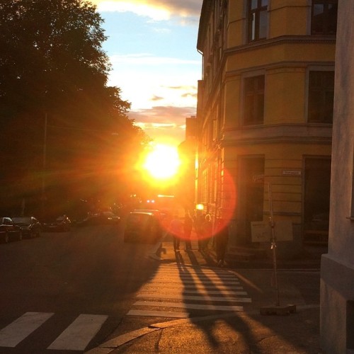 mssecretary:  Helgesens gate #oslo #sunset #gatelangs #norway