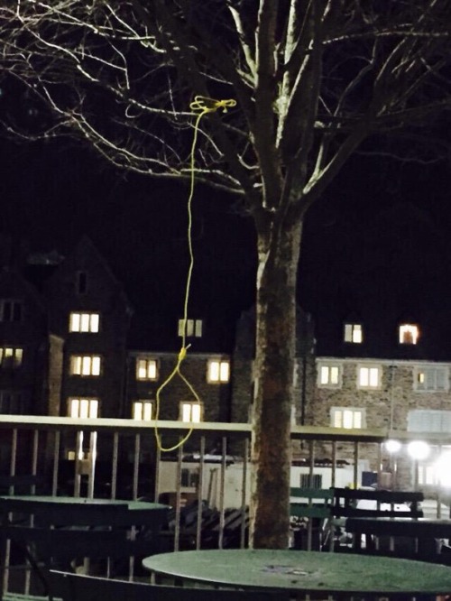 goldr0ger:  chalkzonee:krxs10:  On this weeks episode of What Did Those Racists Do?, A noose was found hanging from a tree near the student union at Duke University. The week before, UGA’s Phi Deltas threw a “What would you would be like without