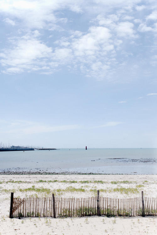  Déconfinement (La nature a repris ses droits sur la plage de La Rochelle) - 12/05/2020 