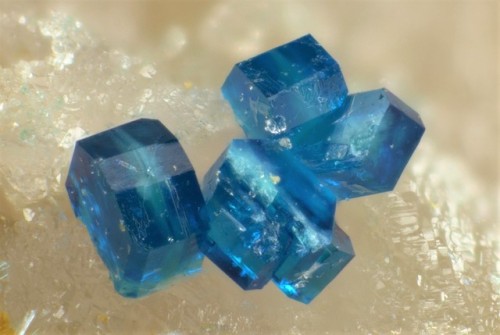 underthescopemineral:  Langite Cu4SO4(OH)6·2H2O Locality:Špania Dolina (Herrengrund), Banská Bystrica Co., Banská Bystrica Region, Slovakia Field of view: 0,9mm    Photo & collection Chollet Pascal  Langite is a secondary copper mineral formed