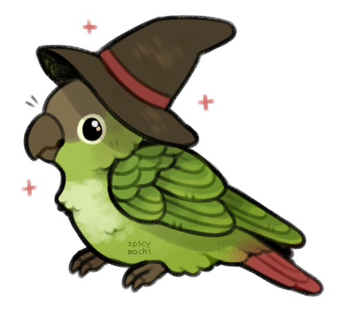 stardust-lightning: spicymochi: wizard bird @danceswithunworldly