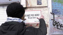 onlylolgifs:  The German town Hamburg is using new paint against peeing in public