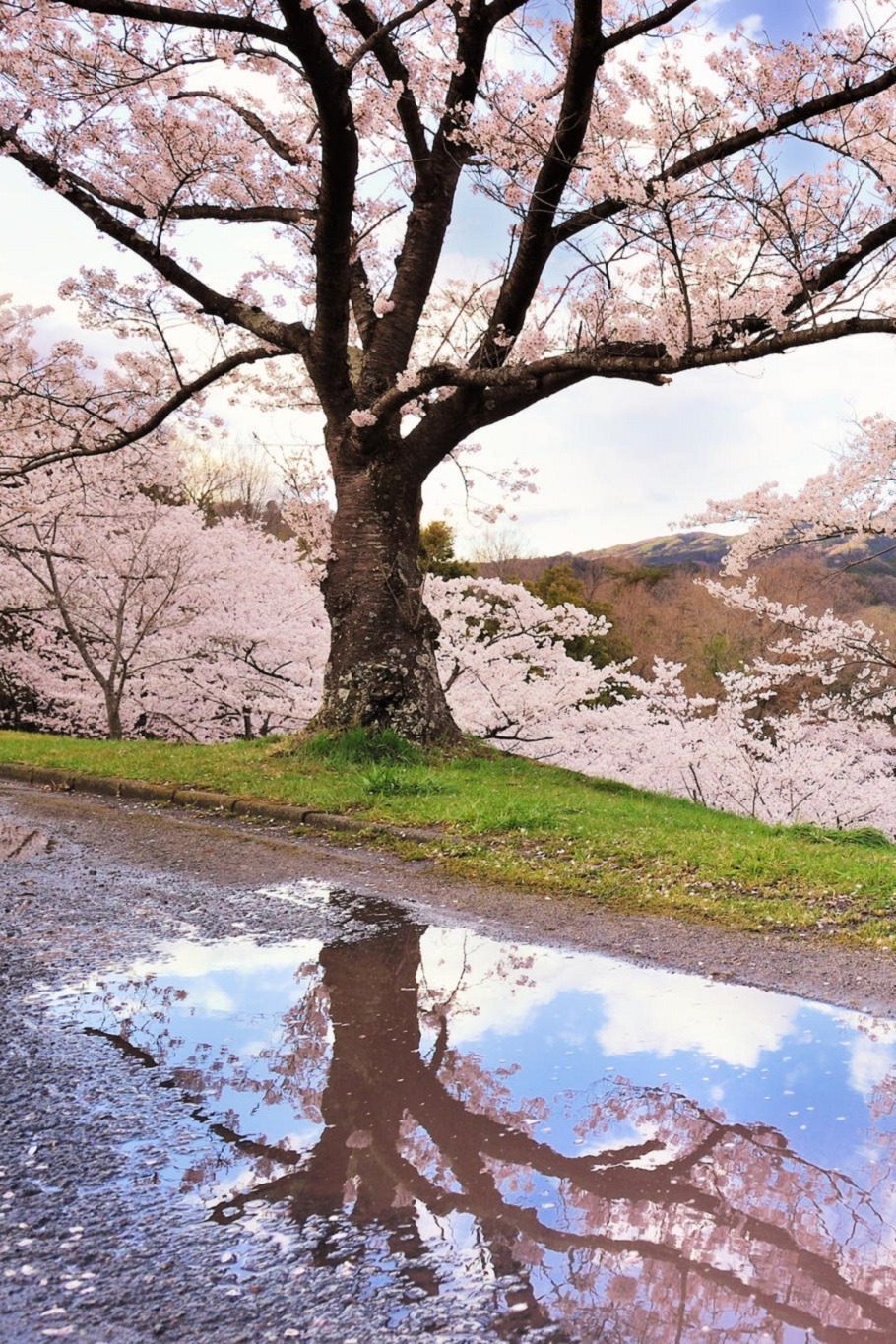 sublim-ature:  JapanSource 