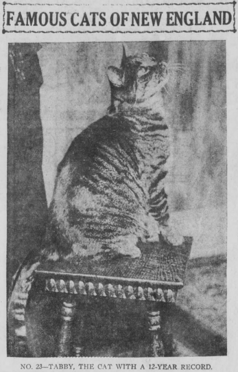 yesterdaysprint: Boston Post, Massachusetts, December 31, 1920 