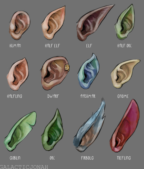 galacticjonah-dnd:  A lot of you tell me you like how different I make various DnD races look. That got me thinking. Wanted to experiment and see how much diversity can be in such a simple thing as ears. And here we go~ 