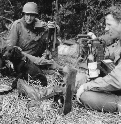 warhistoryonline:2nd Ranger Battalion, Battle of Normandy, 1944. wrhstol.com/2MMCjrd