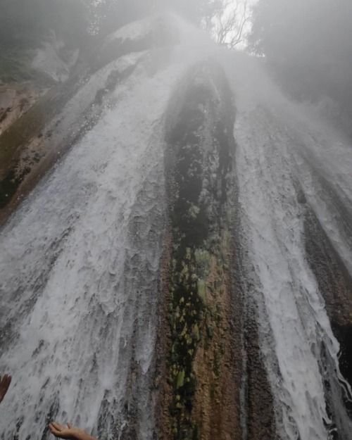 #mussorie #queenofhills #l4l #like4like #tour #hills #hill #hillstation #natureview #kemtyfall #hill