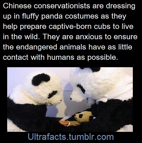 ultrafacts:  notsogreattmblr:  ultrafacts:   Source Follow Ultrafacts for more facts