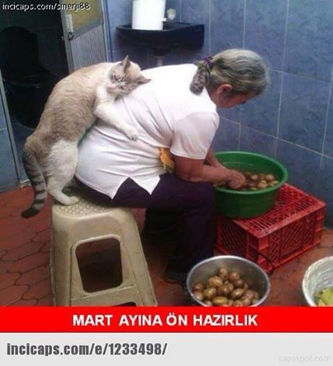 MART AYINA ÖN HAZIRLIK