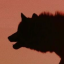 dustdevildog