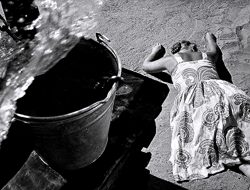 charitydingle:Иваново детство / Ivan’s Childhood— 1962, dir. Andrei Tarkovsky