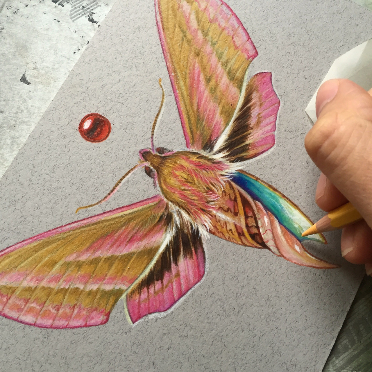 sosuperawesome: Marald Art on Tumblr More like this   