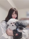 4846fans:ふわふわの保乃とワンちゃん🐶可愛いですね❤ワンちゃんはオーディションの時に買った？ adult photos