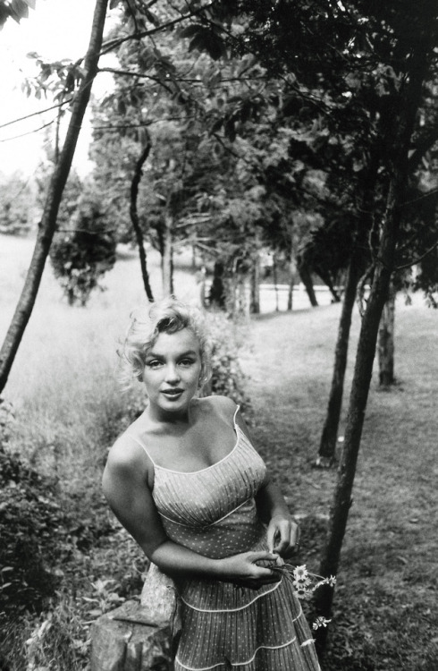 perfectlymarilynmonroe: Marilyn Monroe photographed by Sam Shaw, 1957
