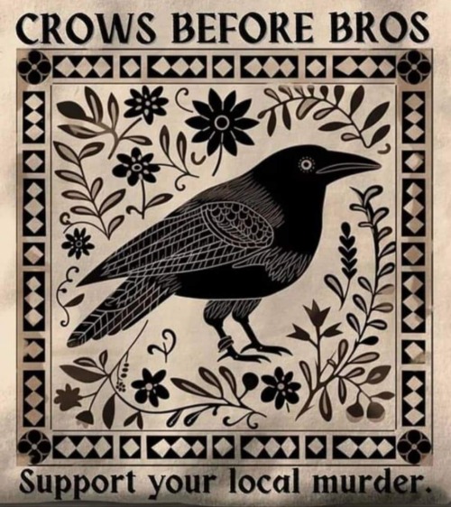 Be Weird, Talk To The Crows, Befriend Them, Feed Them, Let Them Follow You Home. Greet Them Each And